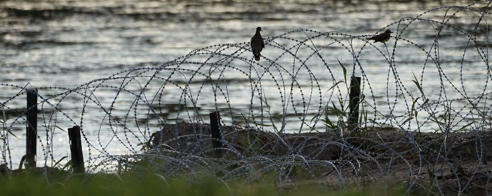 Texas es una de las zonas de EEUU que tienen frontera con México. - Sputnik Mundo, 1920, 21.09.2023