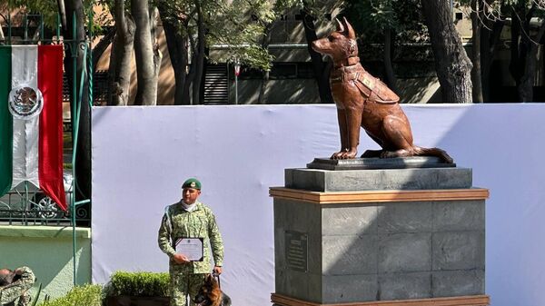 Monumento al perro rescatista Proteo  - Sputnik Mundo