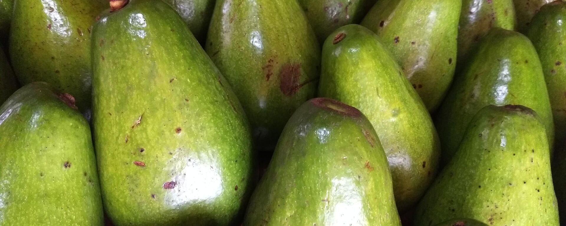 Aguacates  - Sputnik Mundo, 1920, 22.09.2023