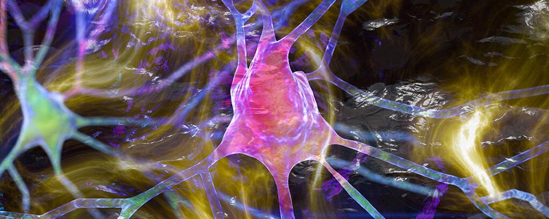 El daño neuronal impulsa la enfermedad de párkinson. El daño neuronal impulsa la enfermedad de párkinson. - Sputnik Mundo, 1920, 24.10.2024