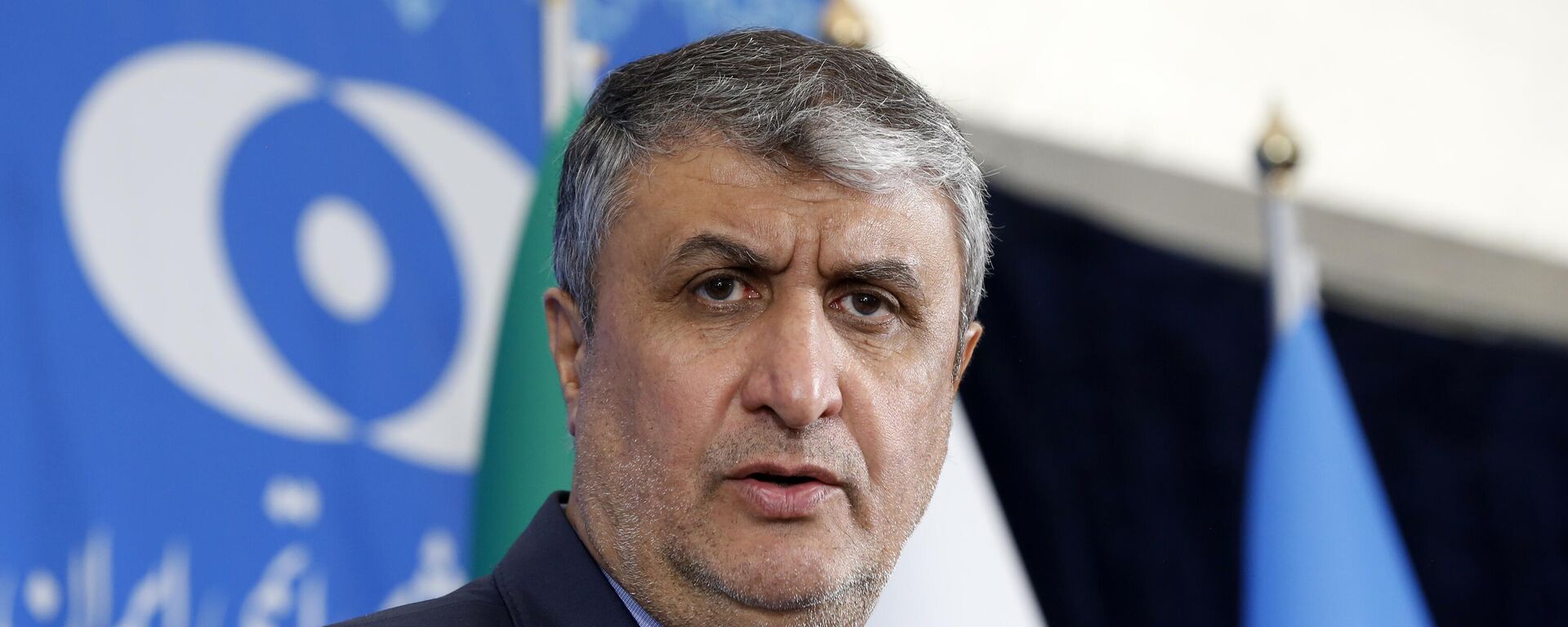 Mohammad Eslami, el director de la Organización de Energía Atómica de Irán (OEAI) - Sputnik Mundo, 1920, 04.10.2023