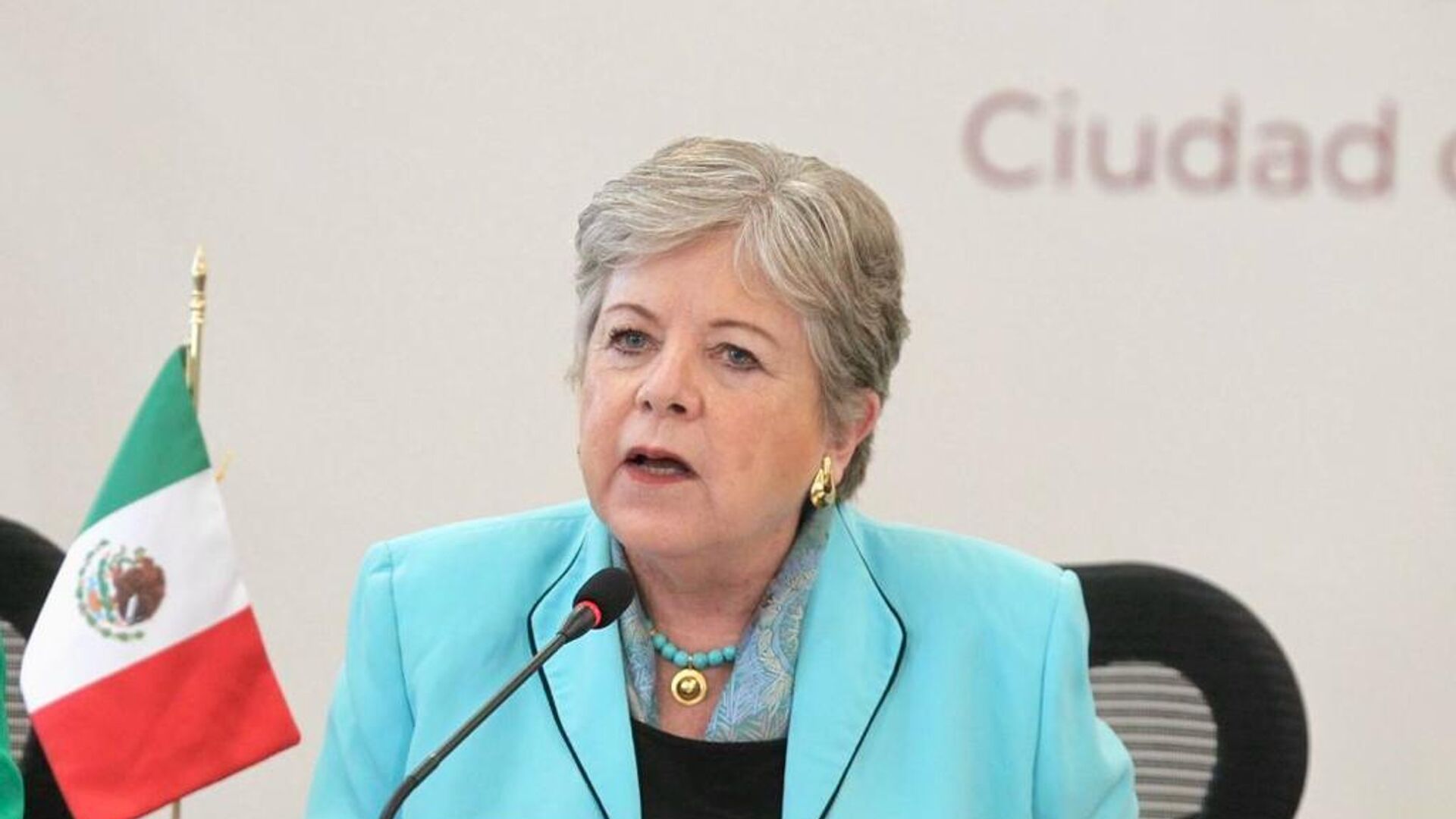 La titular de la Secretaría de Relaciones Exteriores de México, Alicia Bárcena La titular de la Secretaría de Relaciones Exteriores de México, Alicia Bárcena - Sputnik Mundo, 1920, 08.10.2023
