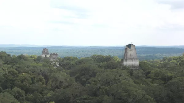 Antigua ciudad de Tikal (en Guatemala)  - Sputnik Mundo