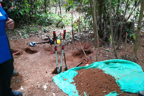 Un científico colombiano busca desminar el país gracias a un algoritmo. - Sputnik Mundo