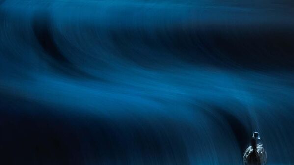 Imagen &#x27;La ola&#x27; tomada por el fotógrafo alemán Luca Lorenz, ganador de la categoría de &quot;Fotógrafo Joven de 15 a 17 años&quot;.  - Sputnik Mundo