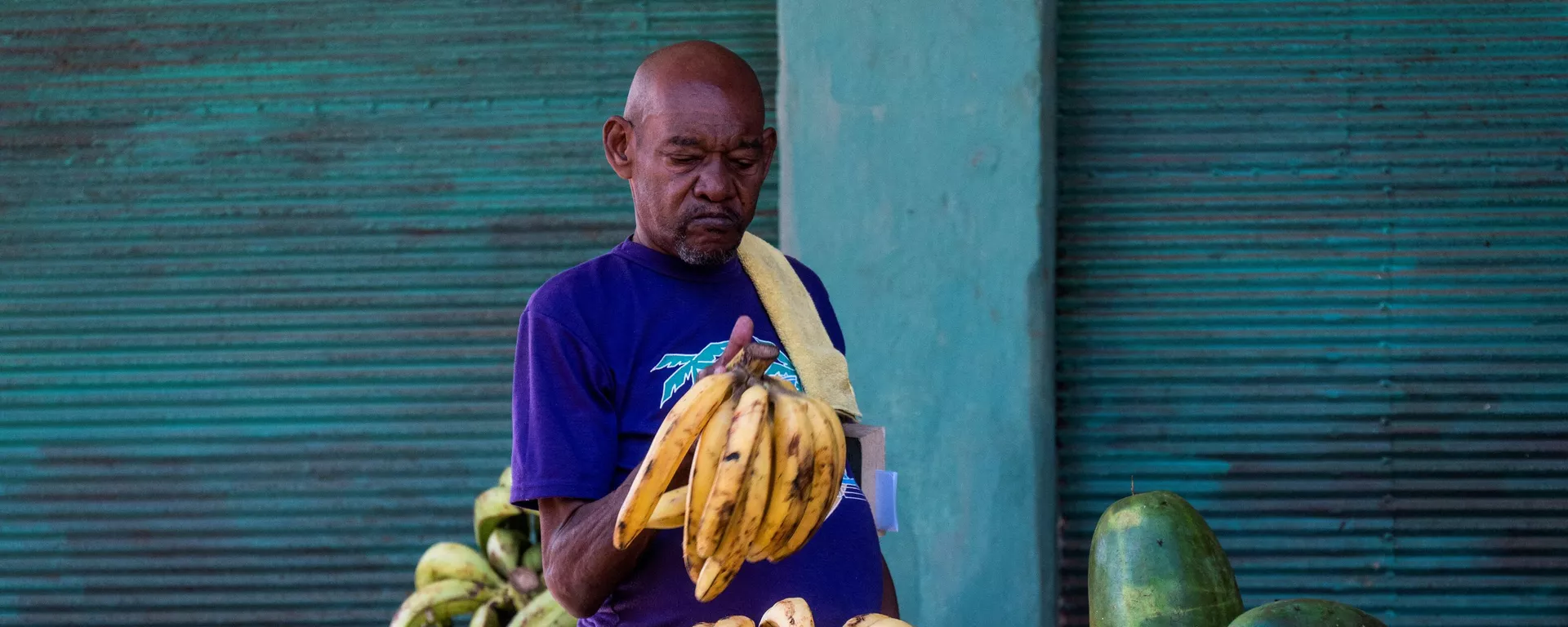Un hombre comprando bananas en un puesto callejero de La Habana Un hombre comprando bananas en un puesto callejero de La Habana - Sputnik Mundo, 1920, 31.10.2023