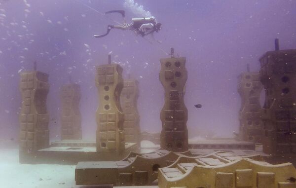 El Arrecife Conmemorativo Neptuno, frente a la costa de Florida, en el este de Estados Unidos, es el único mausoleo submarino del mundo. Está formado por restos incinerados mezclados con cemento. Buceadores y marineros encuentran aquí su última morada. La sepultura más famosa es la de Edith Hink, una mujer de 86 años de Nápoles. Sus familiares decidieron que amaba tanto el mar que merecía ser enterrada en él. - Sputnik Mundo