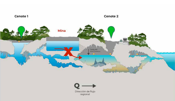Hipótesis de la afectación de la mina a los cenotes y el sistema de ríos subterráneos por parte de Calica elaborada por la Semarnat. - Sputnik Mundo