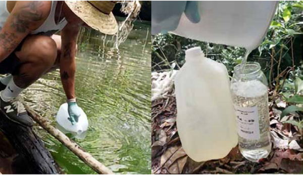 Toma de muestras de agua en zonas cercanas a Calica por parte de personal de Semarnat. - Sputnik Mundo