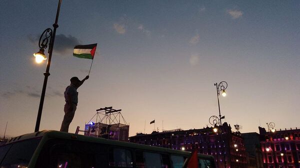 Un manifestante ondea una bandera de Palestina en el Zócalo capitalino de la Ciudad de México durante la marcha de apoyo a Gaza del 5 de noviembre de 2023 - Sputnik Mundo