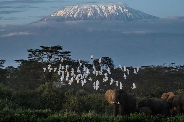 El Kilimanjaro, el estratovolcán más alto de África, situado en el noreste de Tanzania, completa los cinco primeros puestos. Según las estadísticas, aquí mueren 10 personas anualmente, la mayoría a causa del mal de montaña. El Kilimanjaro, el estratovolcán más alto de África, situado en el noreste de Tanzania, completa los cinco primeros puestos. Según las estadísticas, aquí mueren 10 personas anualmente, la mayoría a causa del mal de montaña. - Sputnik Mundo