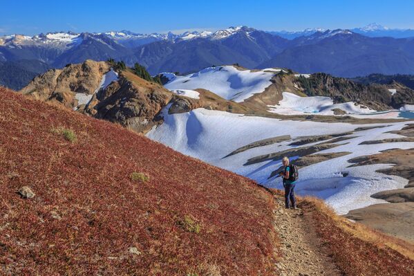 En el Parque Nacional de las Cascadas del Norte, en el estado norteamericano de Washington, la combinación de laderas escarpadas y nevadas extremadamente intensas con el aumento de las temperaturas a finales de invierno crea condiciones favorables para las avalanchas. Entre 2007 y 2021 murieron aquí 14 personas. Algo más de 25.000 personas visitan el parque cada año. En el Parque Nacional de las Cascadas del Norte, en el estado norteamericano de Washington, la combinación de laderas escarpadas y nevadas extremadamente intensas con el aumento de las temperaturas a finales de invierno crea condiciones favorables para las avalanchas. Entre 2007 y 2021 murieron aquí 14 personas. Algo más de 25.000 personas visitan el parque cada año. - Sputnik Mundo