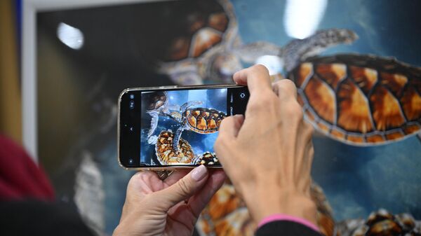  La exhibición del Concurso Internacional de Fotoperiodismo Andréi Stenin 2023 - Sputnik Mundo