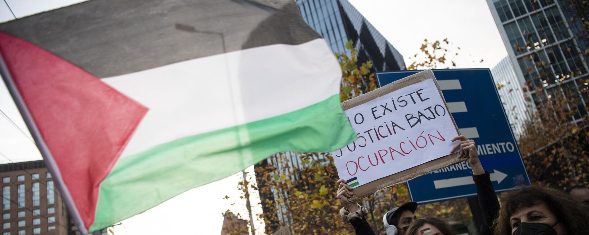 Una mujer ondea una bandera de Palestina durante una movilización en Santiago de Chile - Sputnik Mundo, 1920, 01.12.2023