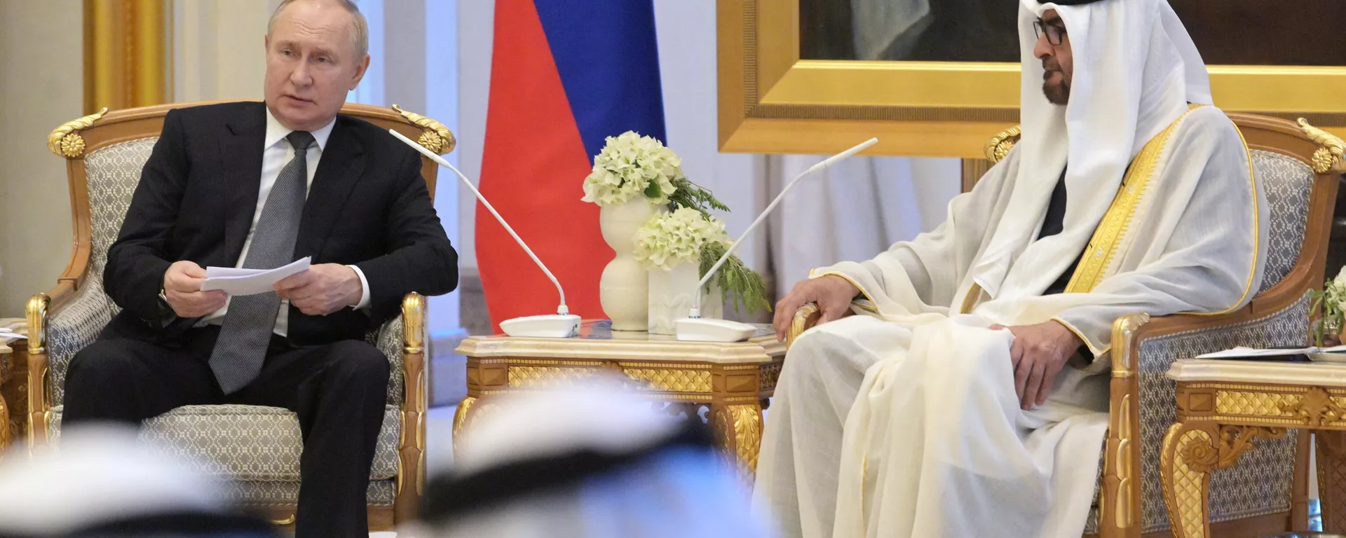 El presidente ruso, Vladímir Putin, у el presidente de Emiratos Árabes Unidos (EAU), jeque Mohamed bin Zayed al Nahayan El presidente ruso, Vladímir Putin, у el presidente de Emiratos Árabes Unidos (EAU), jeque Mohamed bin Zayed al Nahayan - Sputnik Mundo, 1920, 16.05.2026