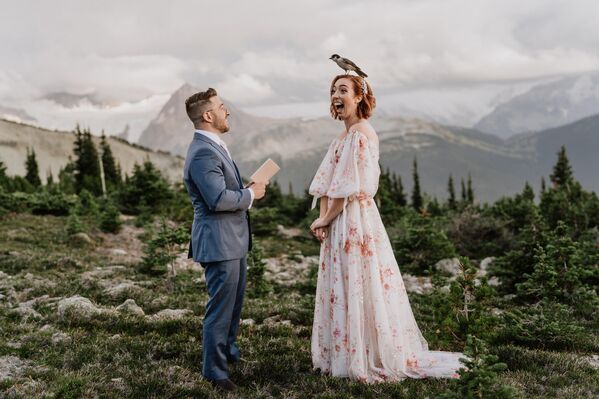 El Gran Premio y el título de Fotógrafa Internacional de Bodas del Año fueron otorgados a la canadiense Tara Lilly por una sincera y divertida captura en la cima de una montaña de Whistler (Canadá). Durante la ceremonia nupcial, un pájaro se posó inesperadamente en la cabeza de la novia y, a pesar de la reacción de quienes la rodeaban, no pensó en salir volando. El Gran Premio y el título de Fotógrafa Internacional de Bodas del Año fueron otorgados a la canadiense Tara Lilly por una sincera y divertida captura en la cima de una montaña de Whistler (Canadá). Durante la ceremonia nupcial, un pájaro se posó inesperadamente en la cabeza de la novia y, a pesar de la reacción de quienes la rodeaban, no pensó en salir volando. - Sputnik Mundo
