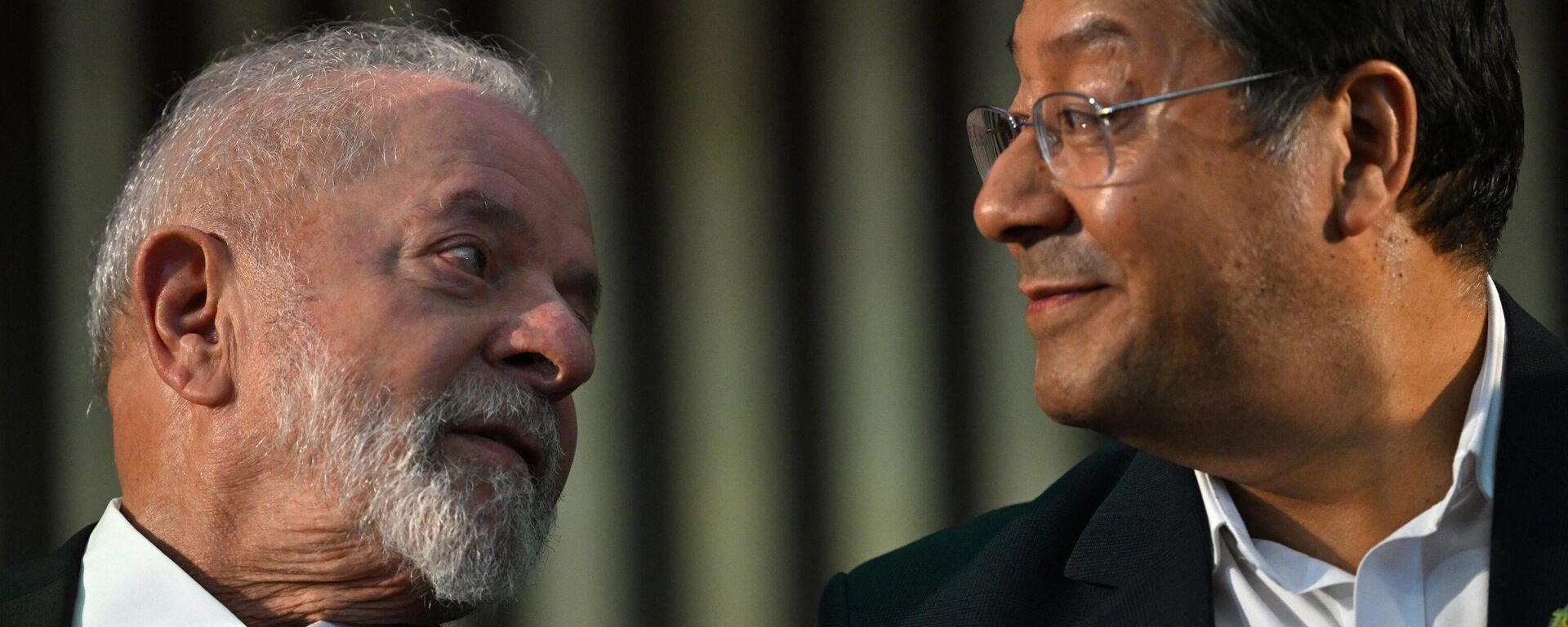 Los presidentes de Brasil y Bolivia, Lula da Silva y Luis Arce - Sputnik Mundo, 1920, 08.12.2023