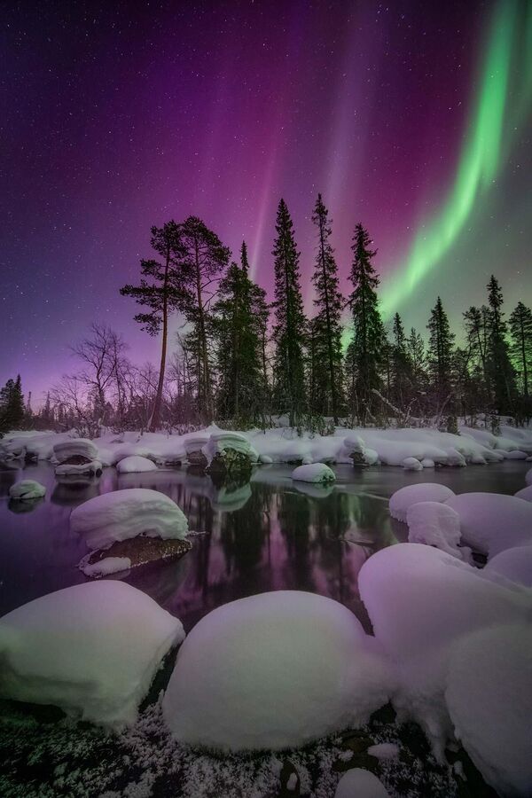 Beauty of the North (Belleza del Norte), de la fotógrafa rusa Elena Ermólina. La imagen fue tomada en la península de Kola, al noroeste de la parte europea de Rusia. - Sputnik Mundo