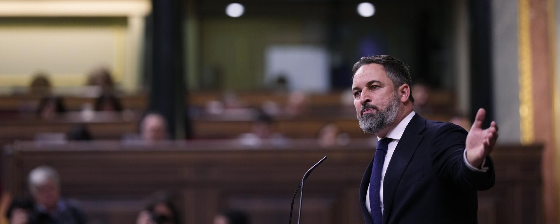 El diputado y presidente del partido de ultraderecha español Vox, Santiago Abascal - Sputnik Mundo, 1920, 10.12.2023