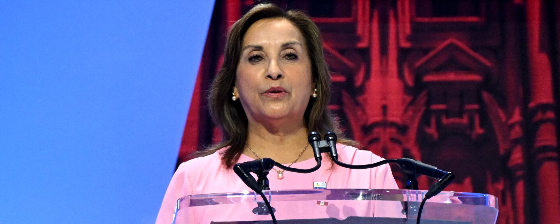 La presidenta de Perú, Dina Boluarte. - Sputnik Mundo, 1920, 15.12.2023