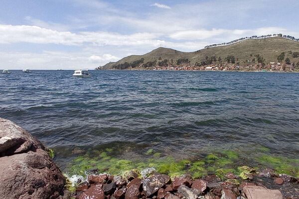 El lago Titicaca revive con la caída de lluvias y sube su nivel de agua. - Sputnik Mundo