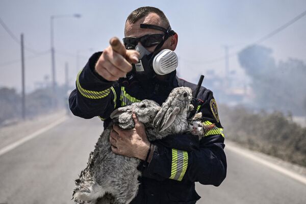 A mediados de año, los incendios arrasaron las regiones de Italia, España, Portugal, Albania, Turquía y Grecia. Más de 40 personas murieron víctimas de incendios en los países mediterráneos, donde el calor superó en algunos lugares los 45 grados Celsius, casi la mitad de ellas, en Grecia. Miles de personas fueron obligadas a abandonar sus hogares.En la foto: un bombero con animales rescatados en la isla griega de Rodas, el 24 de julio de 2023. - Sputnik Mundo