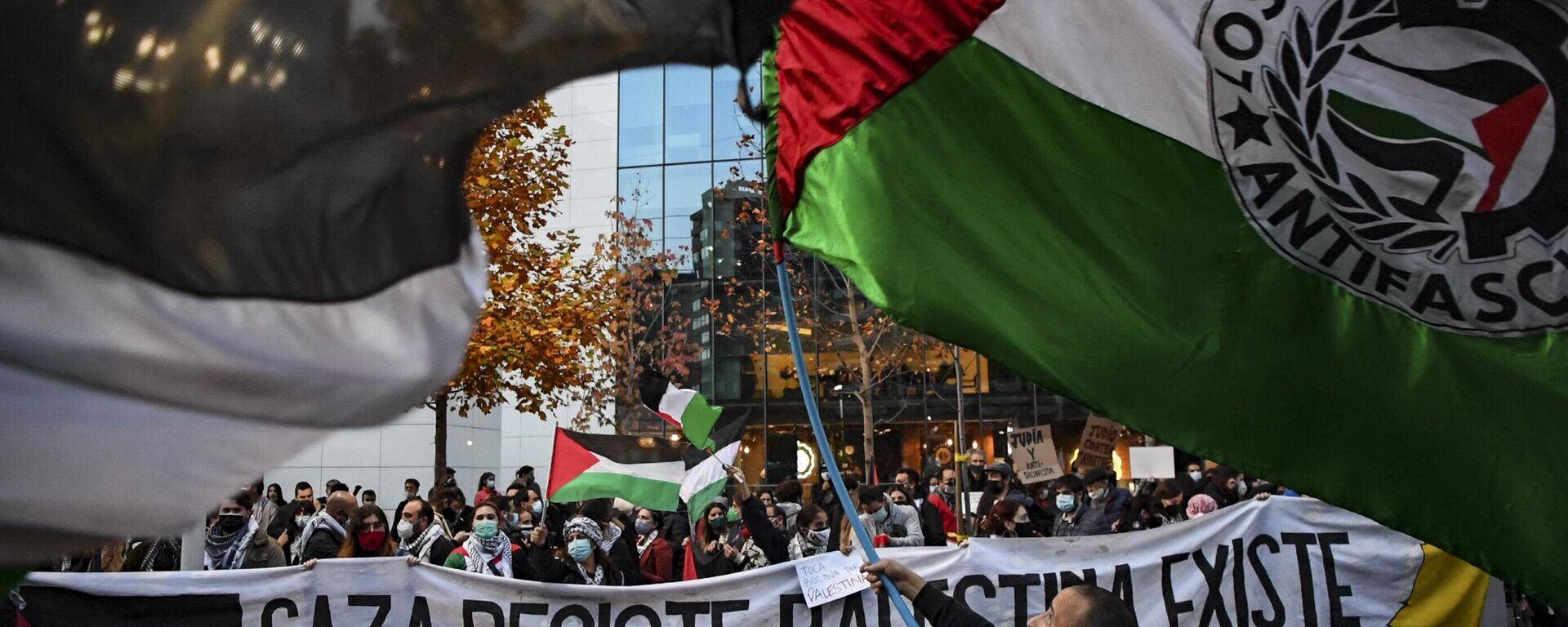 Protesta de la comunidad palestina en Chile - Sputnik Mundo, 1920, 13.01.2024