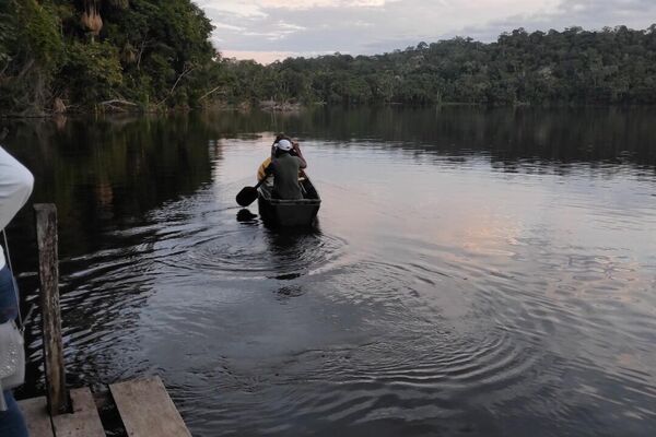 Parque Nacional Madidi en Bolivia - Sputnik Mundo