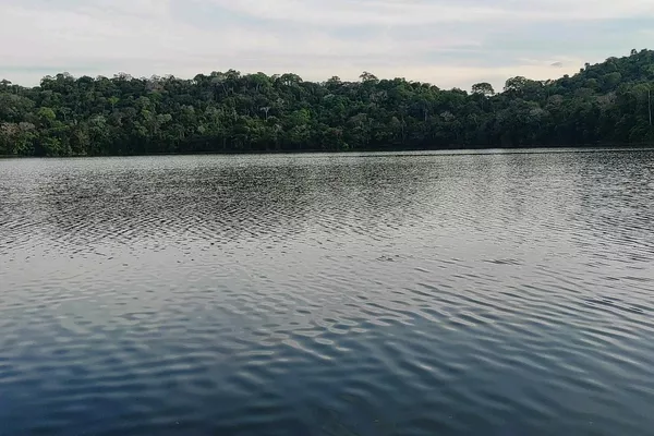 Parque Nacional Madidi en Bolivia Parque Nacional Madidi en Bolivia - Sputnik Mundo