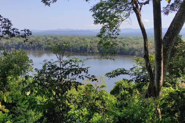 Parque Nacional Madidi en Bolivia Parque Nacional Madidi en Bolivia - Sputnik Mundo