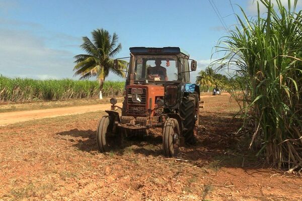 Tractores trabajan en un ingenio azucarero en Cuba - Sputnik Mundo