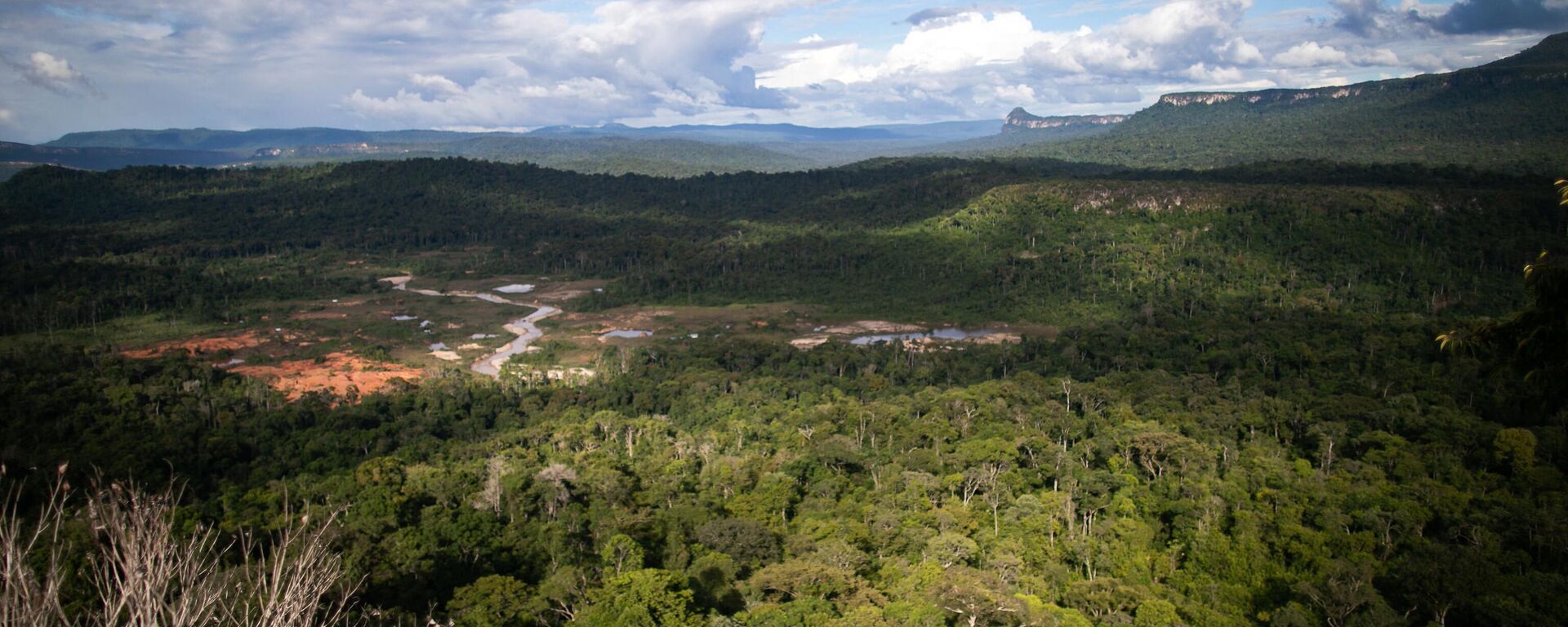 Una vista aérea de la región del Esequibo, en disputa entre Guyana y Venezuela - Sputnik Mundo, 1920, 05.04.2024