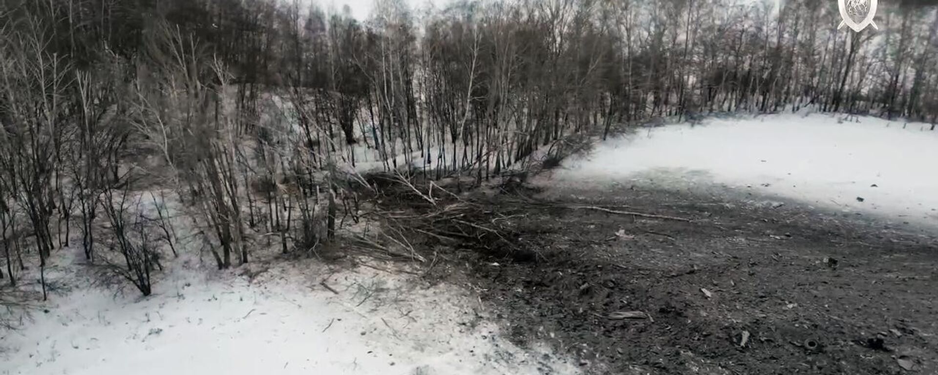 Lugar de la caída de un Il-76 ruso con prisioneros de guerra ucranianos en Bélgorod (Rusia), el 25 de enero de 2024 Lugar de la caída de un Il-76 ruso con prisioneros de guerra ucranianos en Bélgorod (Rusia), el 25 de enero de 2024 - Sputnik Mundo, 1920, 26.01.2024