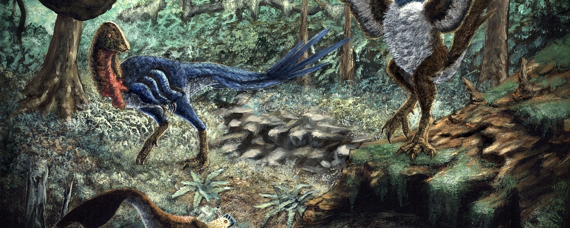 Anzu wyliei  - Sputnik Mundo, 1920, 26.01.2024