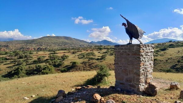 Reserva Natural del Quebracho y el Cóndor en Laderas Norte, Tarija - Sputnik Mundo