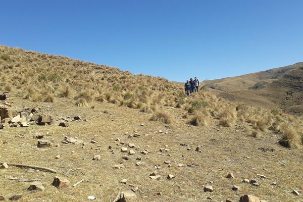 Reserva Natural del Quebracho y el Cóndor en Laderas Norte, Tarija. - Sputnik Mundo