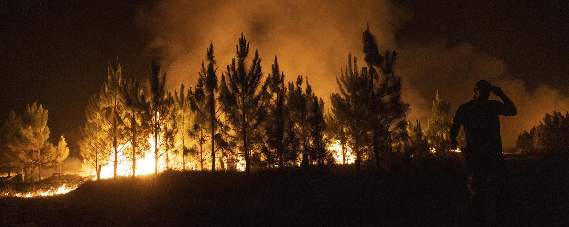 Incendio en un bosque (archivo) - Sputnik Mundo, 1920, 01.02.2024