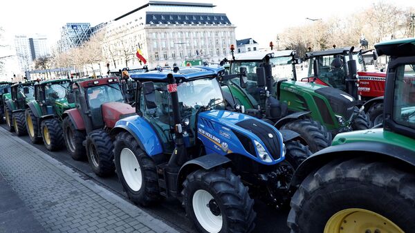 Tractorada junto al Europarlamento - Sputnik Mundo