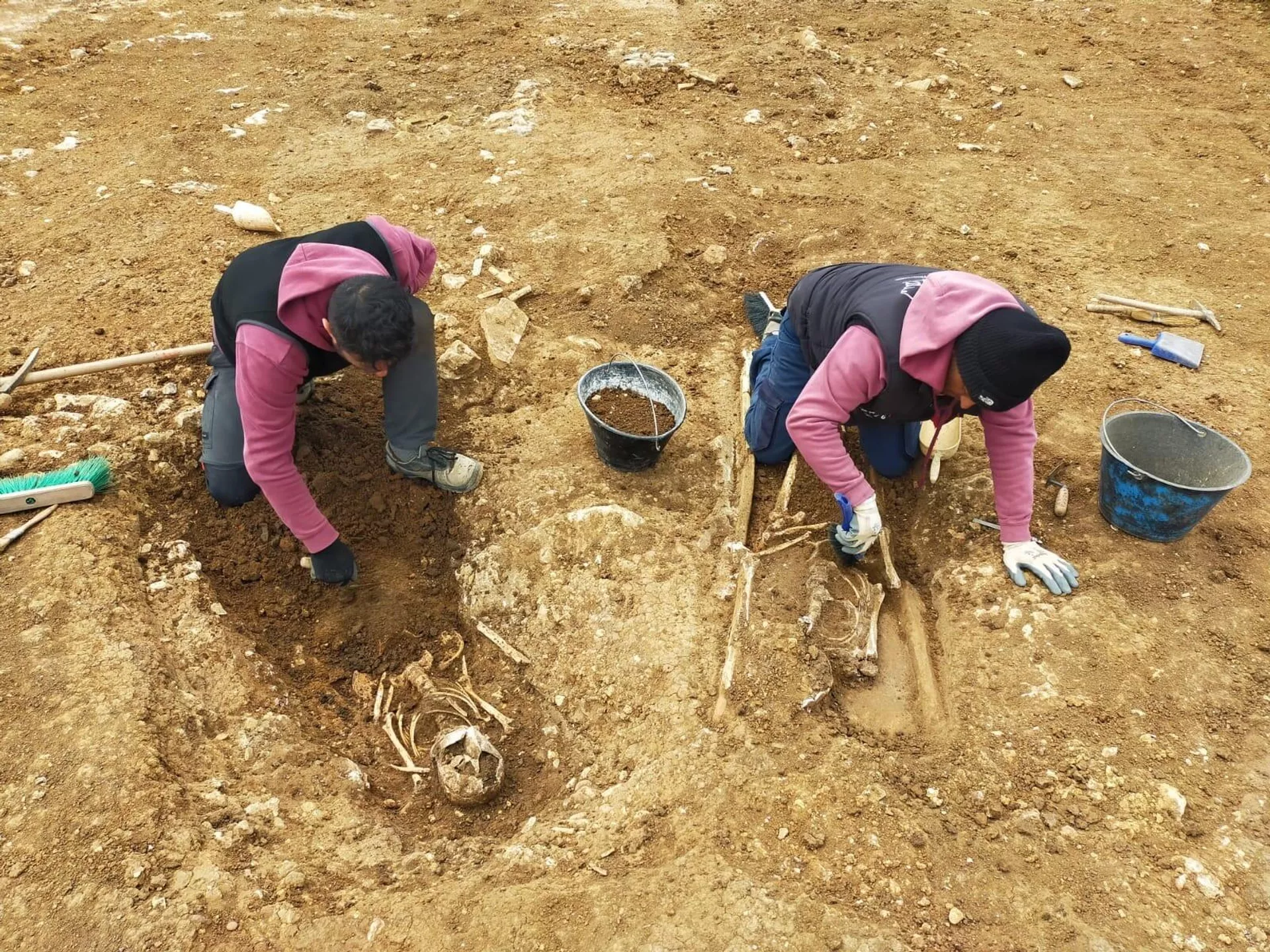 Excavación arqueológica realizada en la necrópolis de Tuscania, Italia Excavación arqueológica realizada en la necrópolis de Tuscania, Italia - Sputnik Mundo, 1920, 03.02.2024