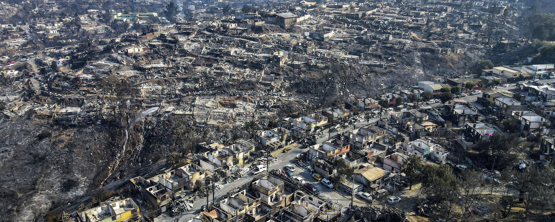 Consecuencias de los incendios forestales en Vina del Mar, Chile - Sputnik Mundo, 1920, 05.02.2024