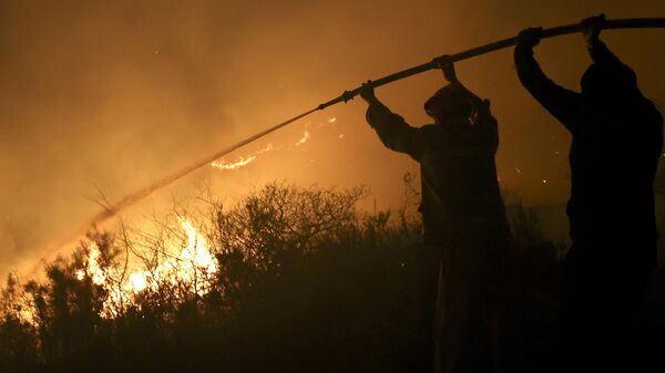 Incendios forestales en Argentina - Sputnik Mundo