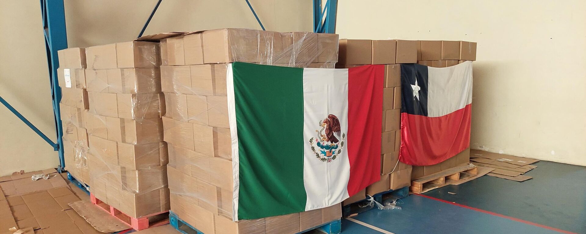 El Gobierno mexicano envió ayuda a Chile tras los incendios forestales. - Sputnik Mundo, 1920, 07.02.2024