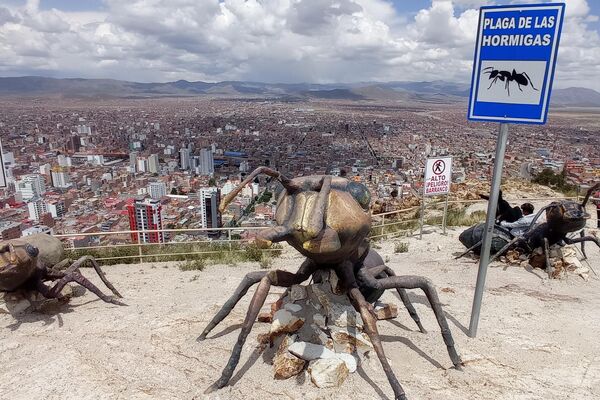 Estatuas de las plagas representadas en el Carnaval de Oruro Estatuas de las plagas representadas en el Carnaval de Oruro - Sputnik Mundo