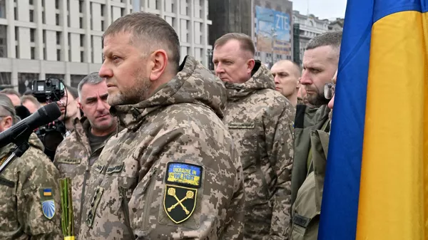 El exjefe de las Fuerzas Armadas de Ucrania, Valeri Zaluzhni - Sputnik Mundo