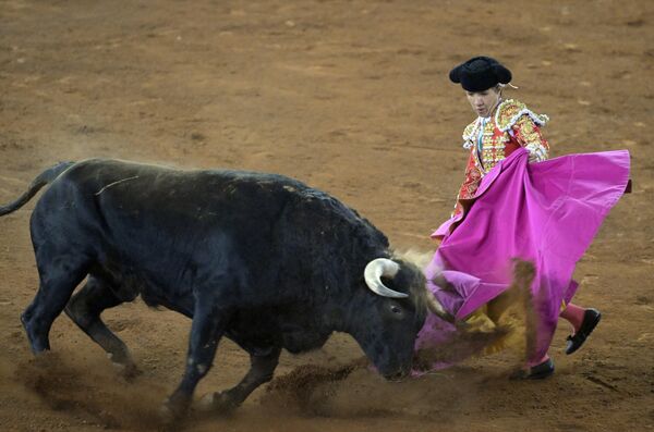 Las corridas de toros son una actividad famosa en México y gran parte del mundo. - Sputnik Mundo