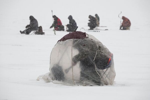 Un hombre en una tienda de plástico pescando en el hielo del golfo de Finlandia en San Petersburgo, Rusia. - Sputnik Mundo