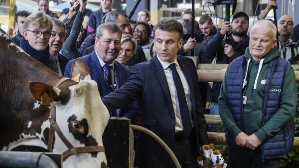 Emmanuel Macron, presidente francés, visita la Feria Internacional de Agricultura el día de su inauguración en París, el 24 de febrero de 2024  - Sputnik Mundo