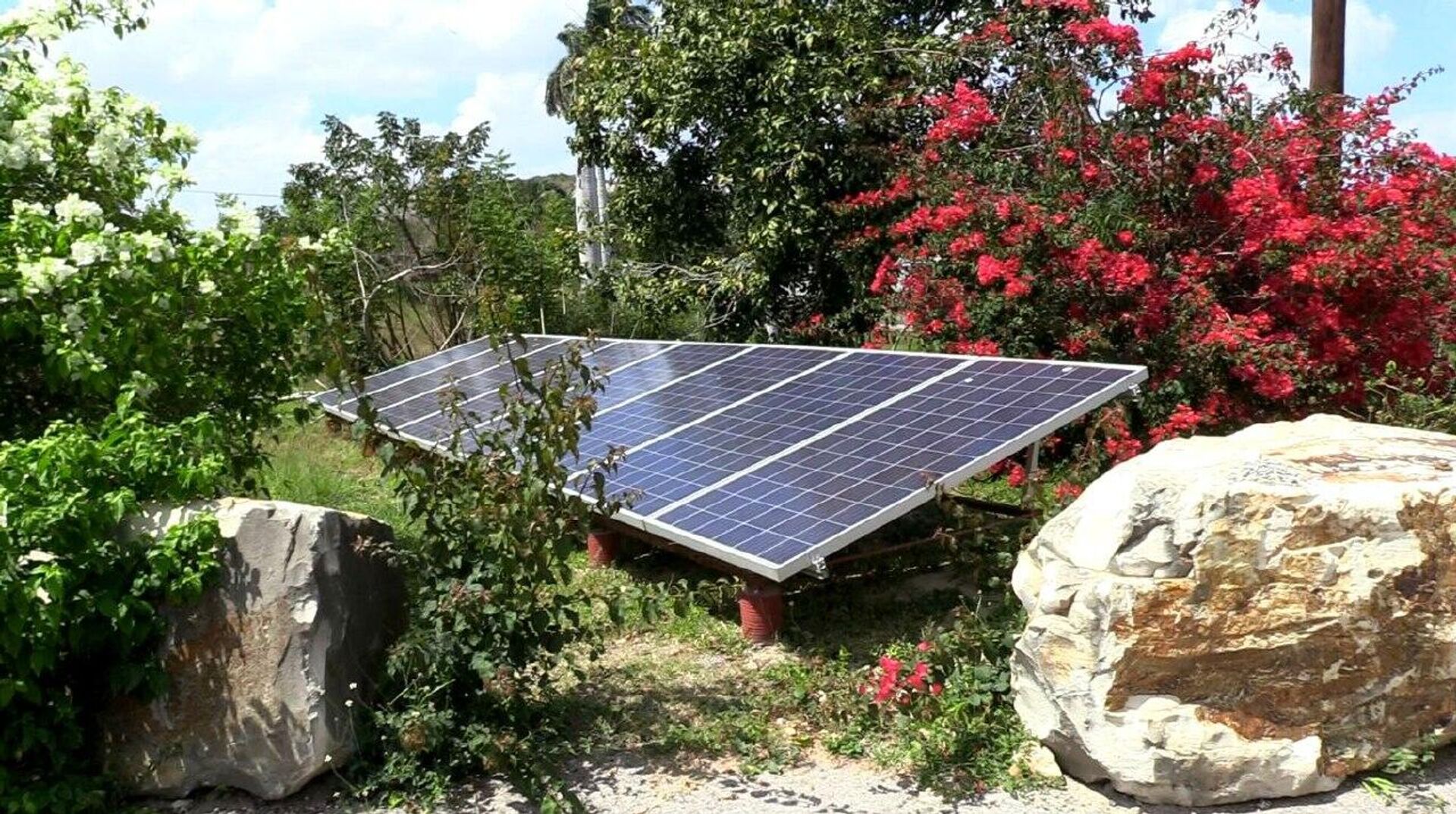 Finca Vista Hermosa, lugar de producción de leche y carne en Cuba - Sputnik Mundo, 1920, 13.03.2024