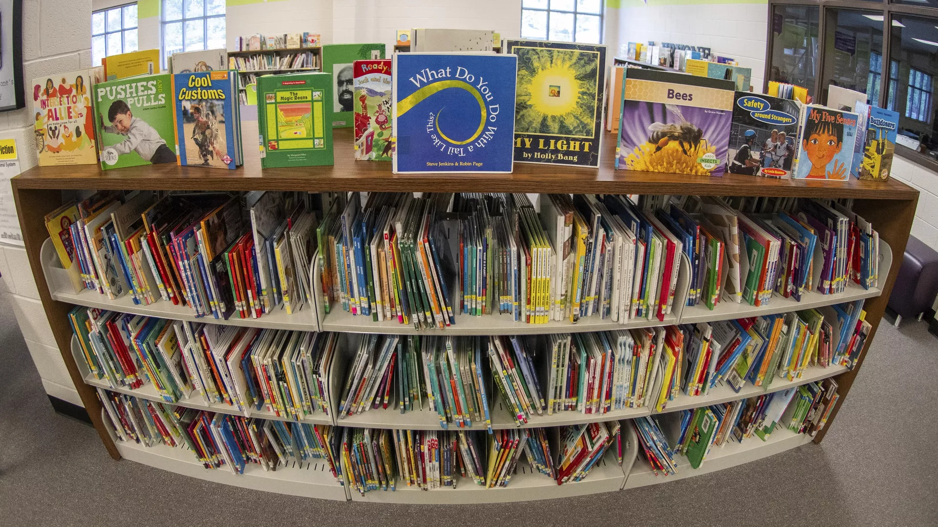 Libros en los estantes de una biblioteca escolar en Atlanta (archivo) Libros en los estantes de una biblioteca escolar en Atlanta (archivo) - Sputnik Mundo, 1920, 16.03.2024