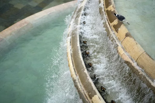En 2010, la ONU reconoció "el derecho al agua potable segura y limpia y al saneamiento como un derecho humano esencial para una vida plena y el pleno disfrute de todos los derechos humanos".En la foto: una gaviota bebe en la fuente de la Alameda de Lisboa, Portugal. En 2010, la ONU reconoció "el derecho al agua potable segura y limpia y al saneamiento como un derecho humano esencial para una vida plena y el pleno disfrute de todos los derechos humanos".En la foto: una gaviota bebe en la fuente de la Alameda de Lisboa, Portugal. - Sputnik Mundo